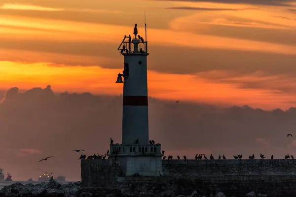 Lighthouse Sunset Sea Background — Stockfoto