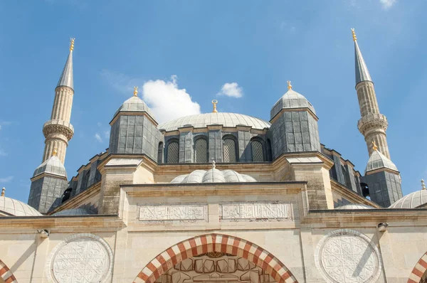 Hagia Sophia Isztambuli Pulyka — Stock Fotó