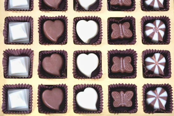 View Various Chocolate Pralines White Background — Foto Stock