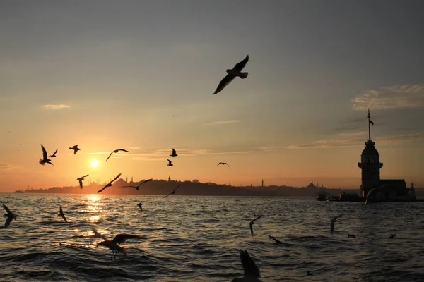 Belo Pôr Sol Sobre Mar — Fotografia de Stock