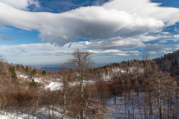 Beau Paysage Hivernal Avec Neige Arbres — Photo