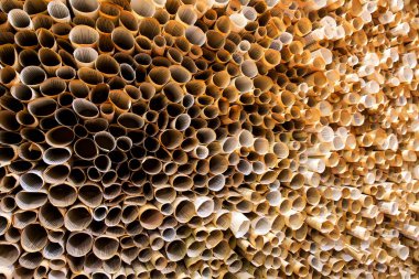 a lot of Paper scrolls