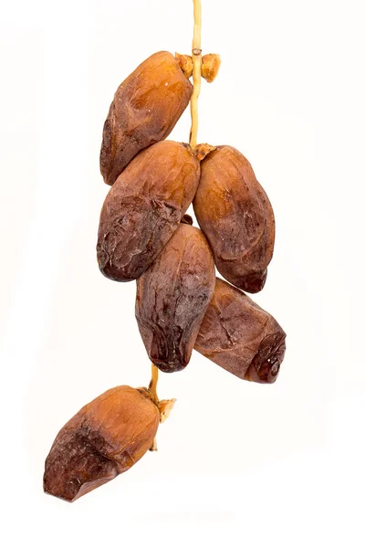 Dried Dates Isolated White Background — Stock Photo, Image