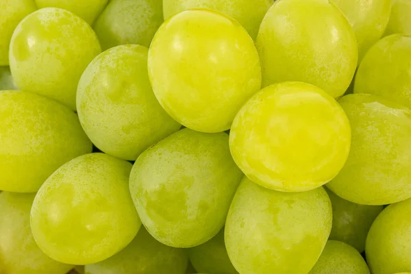 Uvas Verdes Sobre Fondo Blanco — Foto de Stock