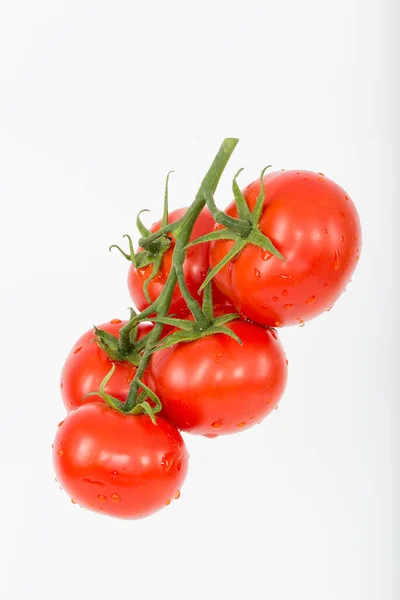 Tomates Maduros Frescos Sobre Fundo Branco — Fotografia de Stock