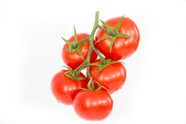 Frische Tomaten Auf Weißem Hintergrund — Stockfoto