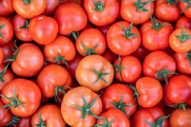 taze kırmızı domates arka plan