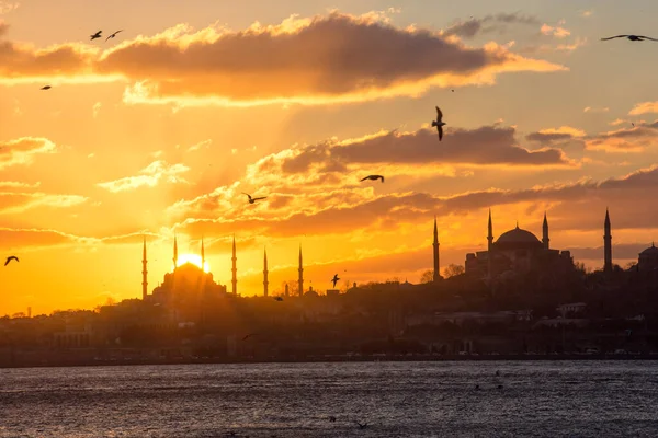 Istanbul Kalkoen Juli 2019 Uitzicht Grote Moskee Avond Hoofdstad — Stockfoto