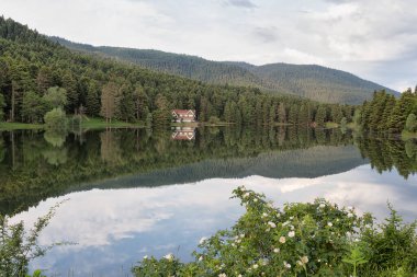 Göl ve dağlarla dolu güzel bir manzara.