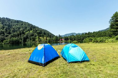 Kamp konsepti, mavi gökyüzündeki çimlerin üzerinde çadırlar.