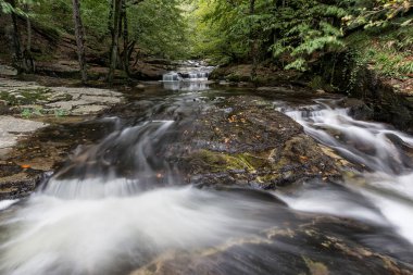 Ormanda güzel bir şelale
