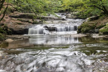 Ormanda güzel bir şelale