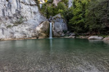 Ormandaki nehrin güzel manzarası