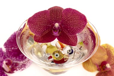 Yapraklı güzel orkide çiçeği