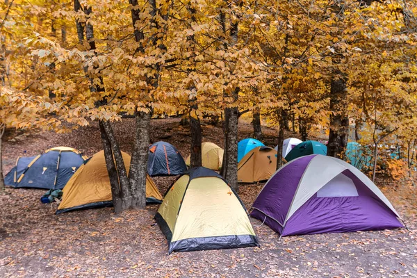 森の中でテントを張って — ストック写真