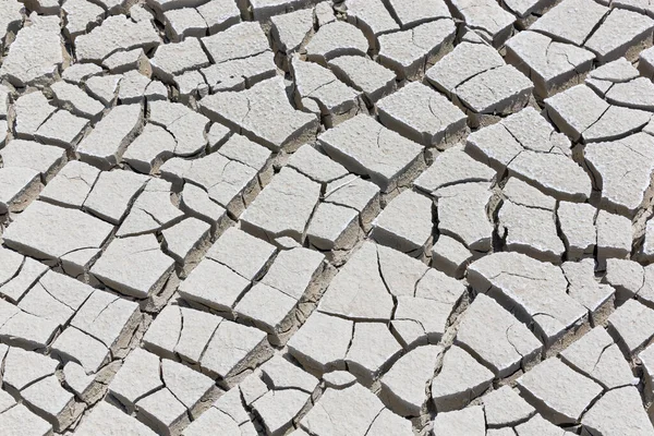 Cracked Earth Dry Soil Texture Background — Stock Photo, Image