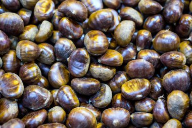 Kestaneler beyaz arkaplanda