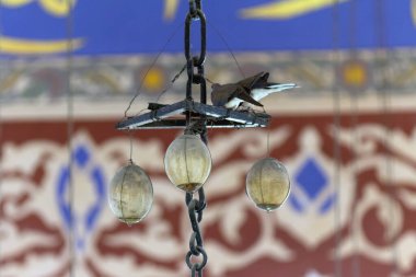 lantern hanging on a ceiling