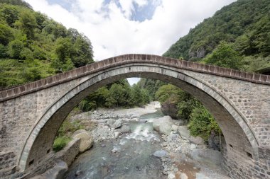 An arch bridge above a river surrounded by forests in Arhavi in Turkey