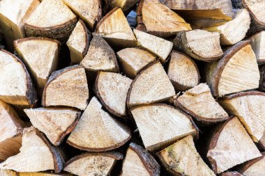 Ormanda istiflenmiş ahşap kütükler. Kapatın.