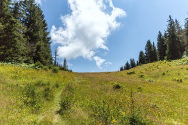 Dağlı güzel bir manzara.  