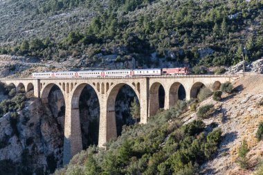 train bridge over the river in the mountains 