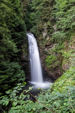 Küçük bir şelalenin güzel manzarası
