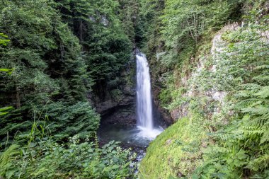 Küçük bir şelalenin güzel manzarası
