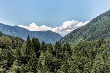 Dağları ve mavi gökyüzü olan güzel bir manzara.