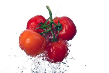 Beyaz arkaplanda izole edilmiş domates ve kırmızı domatesler