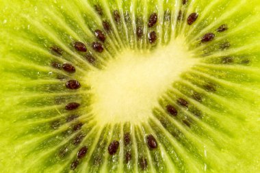 kivi meyvesi beyaz arkaplanda