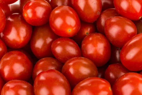 Verse Tomaten Een Witte Achtergrond — Stockfoto