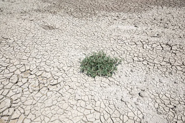 Turkey Cappadocia Cracked Soil Closeup — Stockfoto