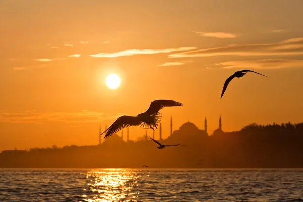 Pôr Sol Istambul Turquia Com Mesquita Sultanahmet Santa Sofia Acompanhado — Fotografia de Stock