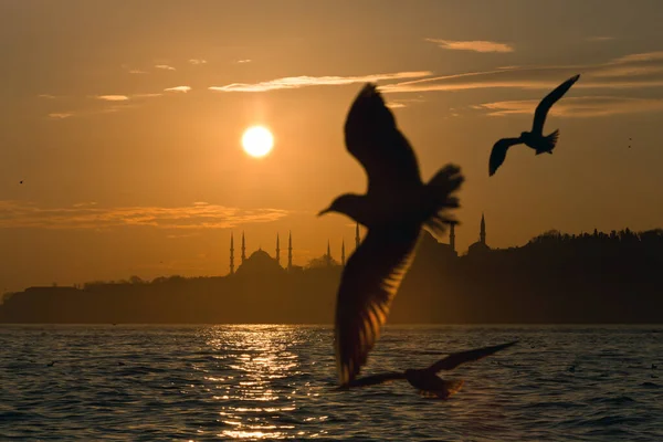 Pôr Sol Istambul Turquia Com Mesquita Sultanahmet Santa Sofia Acompanhado — Fotografia de Stock