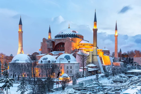 Hagia Sophia Isztambuli Pulyka — Stock Fotó