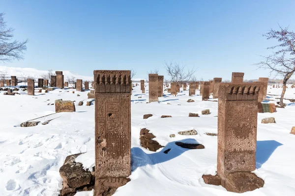 Seljuk Cemetery Las Lápidas Ahlat Son Famosas Por Dimensión Diseño — Foto de Stock