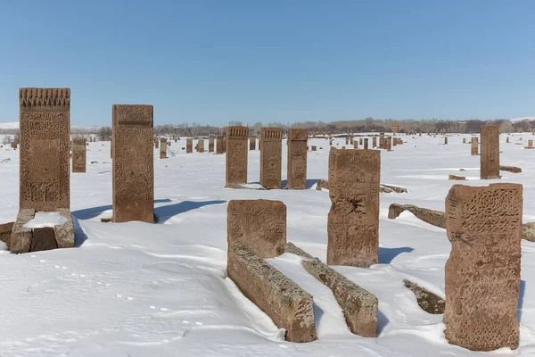 Seljuk Cemetery Las Lápidas Ahlat Son Famosas Por Dimensión Diseño — Foto de Stock