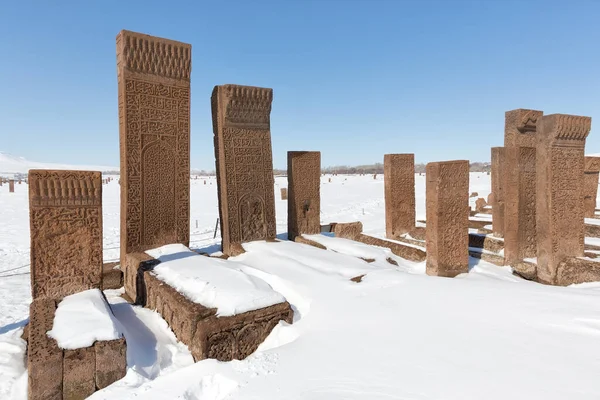 Seljuk Cemetery Las Lápidas Ahlat Son Famosas Por Dimensión Diseño — Foto de Stock