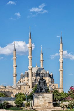 view of the mosque of the city of Istanbul, Turkey