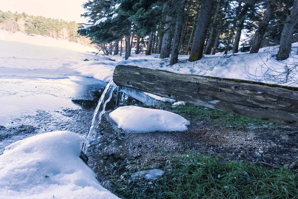 Paysage Hivernal Avec Source Eau Arbres Enneigés — Photo