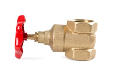 Beyaz arkaplanda kırmızı ve sarı kapakçık