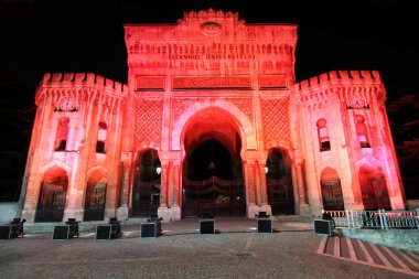 the beautiful night view of the Historical gate of Istanbul University