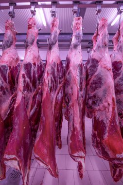 Buzdolabındaki büyük bir buzdolabında, taze asılmış yarım inek parçalarını sıraya dizin. Et endüstrisinde. Helal kesimi.