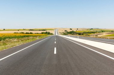 Asfalt yol ayçiçeği tarlalarına doğru uzanıyor. Ayçiçeği yol manzarası.