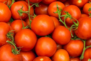 Beyaz arka planda taze domatesler