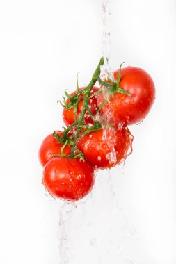 Beyaz arka planda izole edilmiş taze kırmızı domatesler.