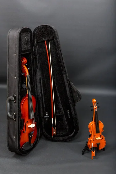 黑色背景上的小提琴 — 图库照片