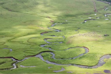 Yazın yeşil tarlanın havadan görünüşü ve nehirler.