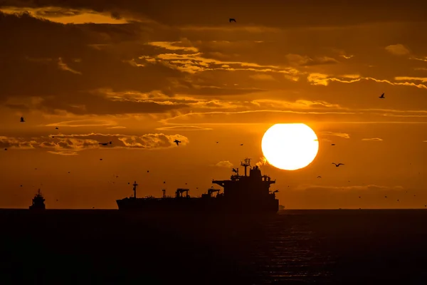 Sunset Sea Cargo Boat — Stockfoto